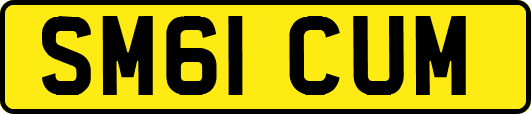 SM61CUM