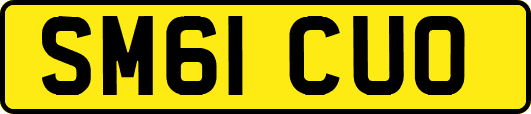SM61CUO