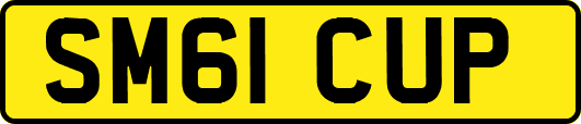 SM61CUP