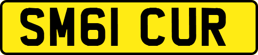 SM61CUR