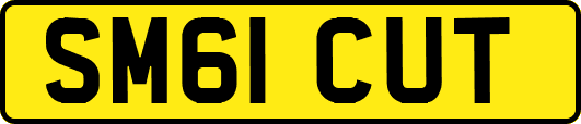 SM61CUT