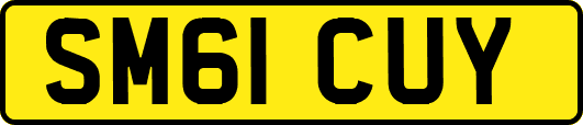SM61CUY