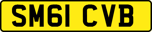 SM61CVB