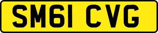SM61CVG