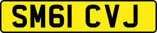 SM61CVJ