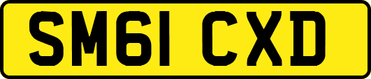 SM61CXD