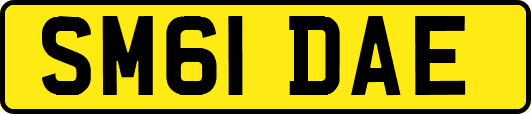 SM61DAE
