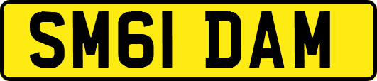 SM61DAM