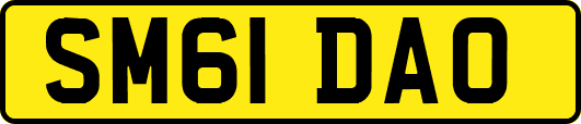 SM61DAO