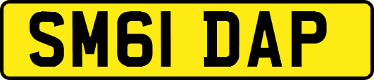 SM61DAP