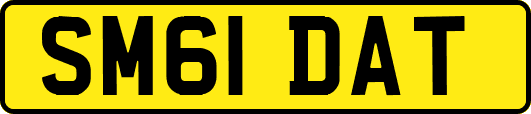 SM61DAT