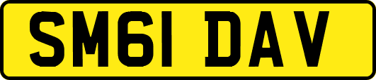 SM61DAV