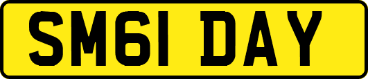 SM61DAY