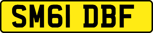 SM61DBF
