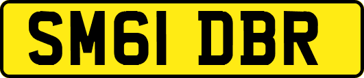 SM61DBR