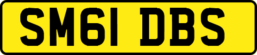 SM61DBS