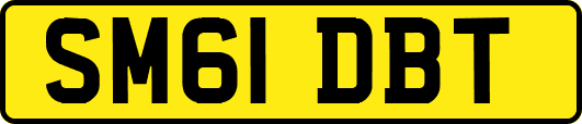 SM61DBT