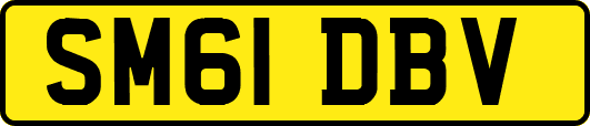 SM61DBV