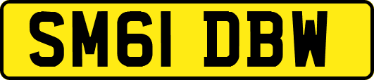 SM61DBW