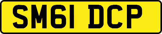 SM61DCP
