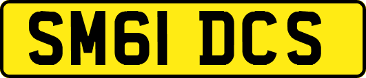 SM61DCS
