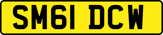 SM61DCW