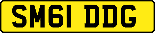 SM61DDG