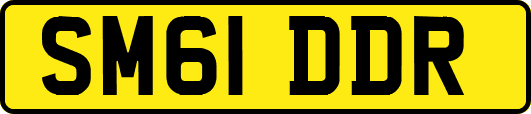 SM61DDR