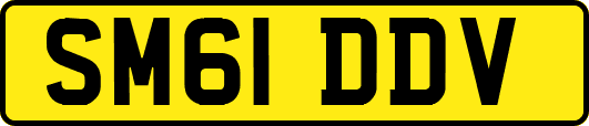 SM61DDV