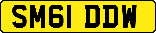 SM61DDW