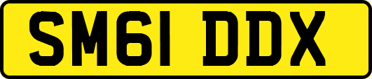SM61DDX