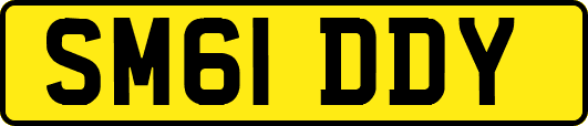 SM61DDY
