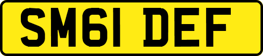 SM61DEF