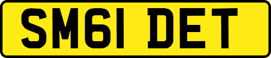 SM61DET