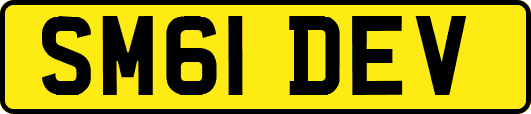 SM61DEV