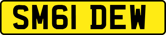SM61DEW