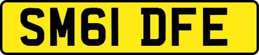 SM61DFE