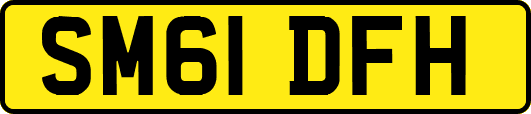 SM61DFH