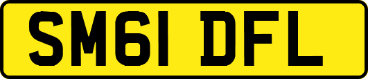 SM61DFL