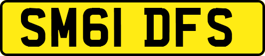 SM61DFS