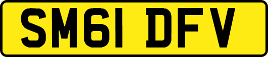 SM61DFV