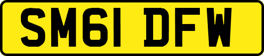 SM61DFW