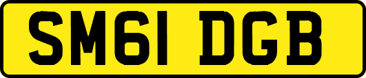 SM61DGB