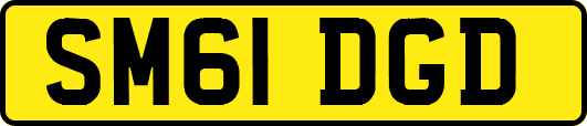 SM61DGD