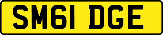 SM61DGE