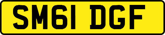SM61DGF
