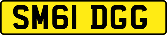 SM61DGG