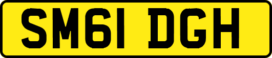 SM61DGH