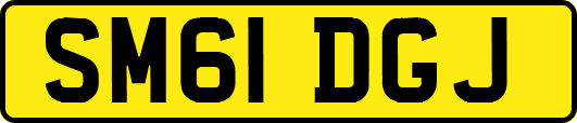 SM61DGJ