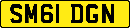 SM61DGN
